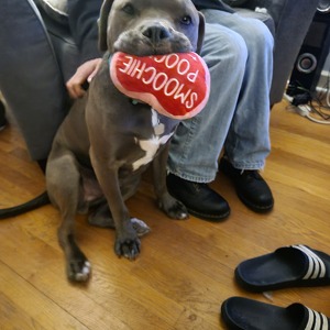 Fundraising Page: Kristen McKeever